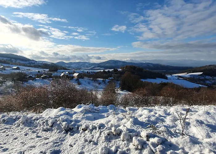 Διαμέρισμα Bobo *