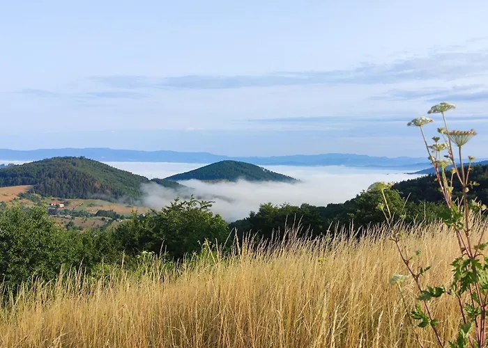 Διαμέρισμα Bobo