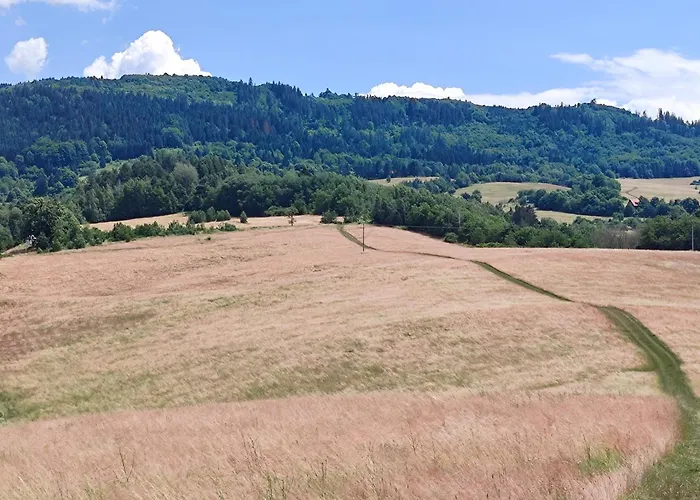 Bobo Апартаменты *