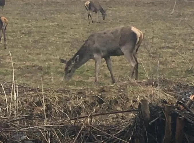 Bobo Διαμέρισμα Stozok